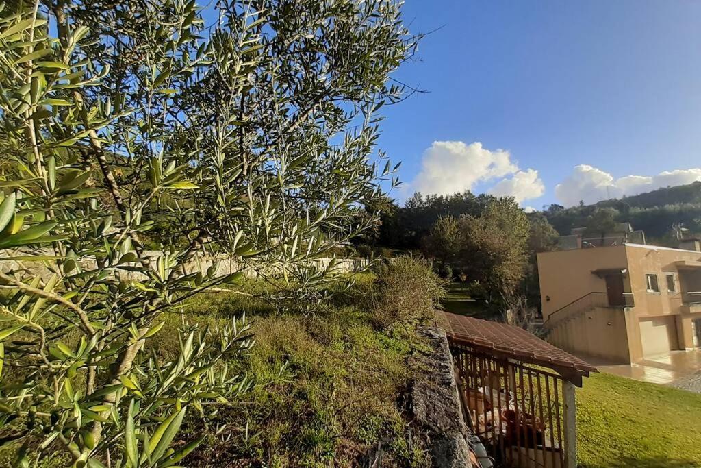 Cavado'S Heights Braga Apartment Bagian luar foto